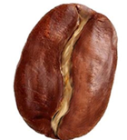 Grano de Café Arábica