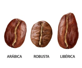 Tipos de café